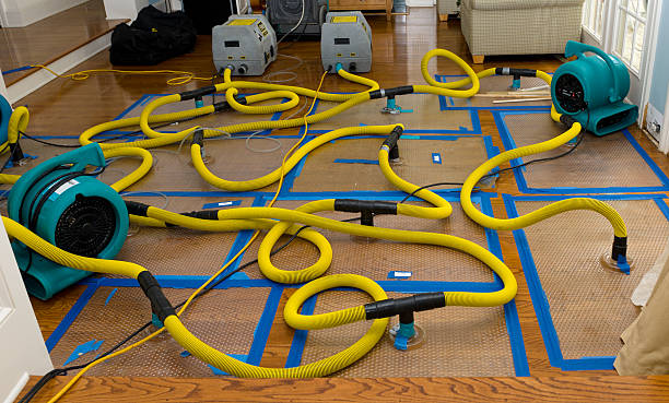 Professional Crawl Space Water Removal technician working in Potter, WI